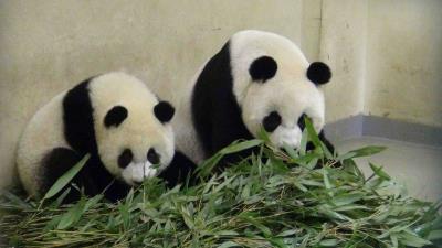 _a(chn)I(y)֣AСڙƷ(chung)߅Ч5|_