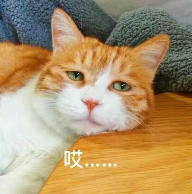 ²۴_ҪŮѡlϴ^áWR