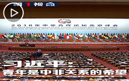 PC端視頻圖片模板.習(xí)近平:青年是中非關(guān)系的希望jpg.jpg
