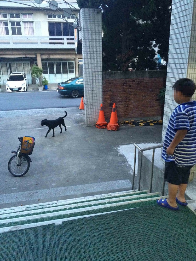 _ͯŌW·ڹ׷Mɳψ󡷈D