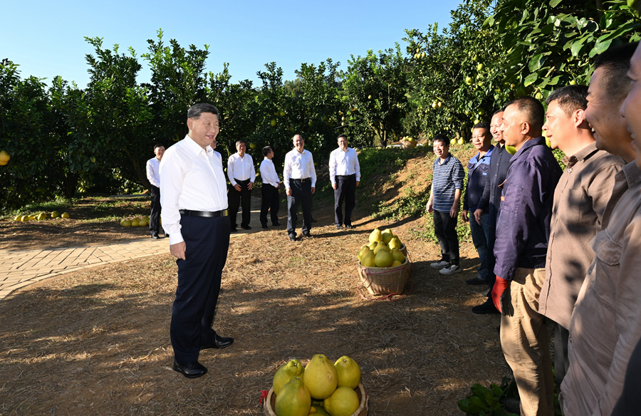 2025��11��7�գ�����ƽ����ӛ��÷����÷�h�^������ϸ����ַNֲ���ؿ���r��ͬ���r���r���ˆT�H�н�����