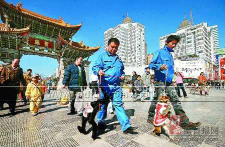 長(zhǎng)臂猿牽手猴哥進(jìn)城辦年貨 順路給市民拜早年