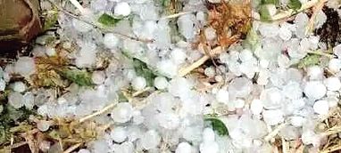 滑縣火災,村民圍毆偷狗賊 滑縣火災,村民圍毆偷狗賊